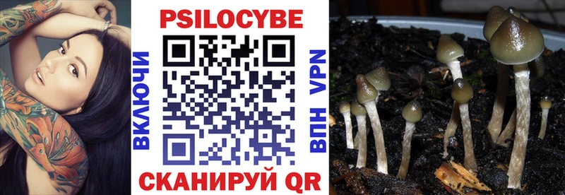 KRAKEN маркетплейс  Байкальск  Галлюциногенные грибы Psilocybine cubensis 