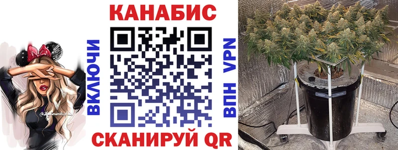наркотики  Байкальск  Бошки марихуана тримм 